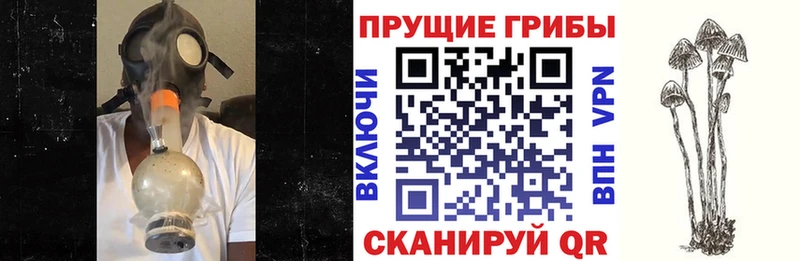 Галлюциногенные грибы прущие грибы  Купить закладки  Белая Холуница 